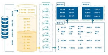 雅森科技陳暉 十年求索，探路醫(yī)療AI的上海實(shí)踐與需求邊界
