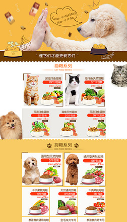 打造吸睛寵物水族店鋪 專業模板裝修與食品用品陳列全攻略