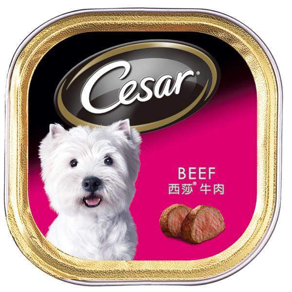 犬貴族寵物用品 深耕臺南，專注寵物食品與用品的專業批發